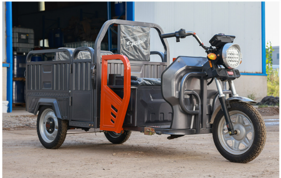 Tricycle Électrique Pliable - 650W avec Options de Moteur et Couleurs Personnalisables